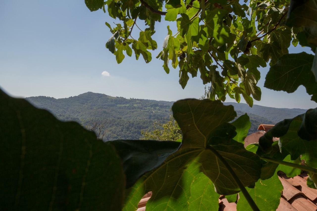 Casa Krajnova Villa Oblizza Luaran gambar